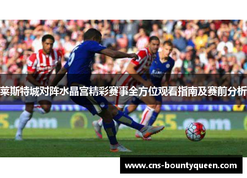 莱斯特城对阵水晶宫精彩赛事全方位观看指南及赛前分析