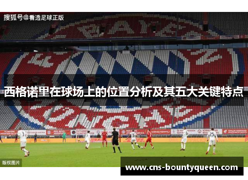 西格诺里在球场上的位置分析及其五大关键特点