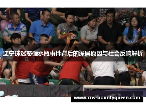 辽宁球迷怒砸水瓶事件背后的深层原因与社会反响解析