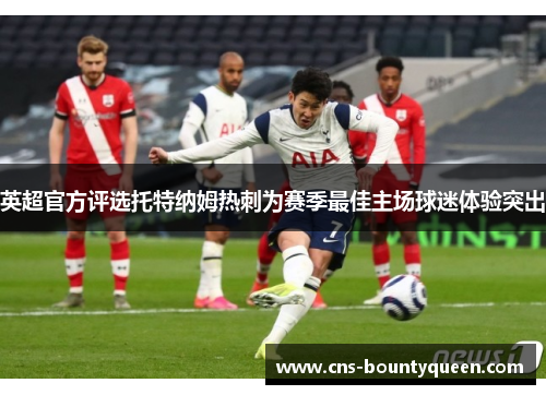 英超官方评选托特纳姆热刺为赛季最佳主场球迷体验突出