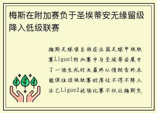 梅斯在附加赛负于圣埃蒂安无缘留级降入低级联赛